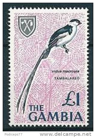 Gambia  1966  Vögel  (high Value)  1 Pfund  Mi-Nr.222  Falz * / MH - Gambie (1965-...)