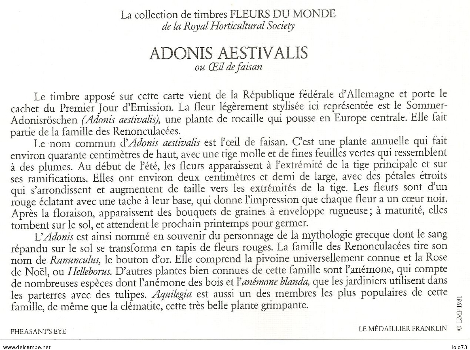 Carte 1er Jour - Allemagne - Berlin  - Fleur - Pheasant's Eye (oeil De Faisan) - Otros & Sin Clasificación