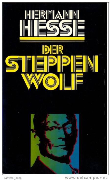 Der Steppenwolf  - Hermann Hesse - Geschichte Des In Sich Zerrissenen Intellektuellen Harry Haller - German Authors