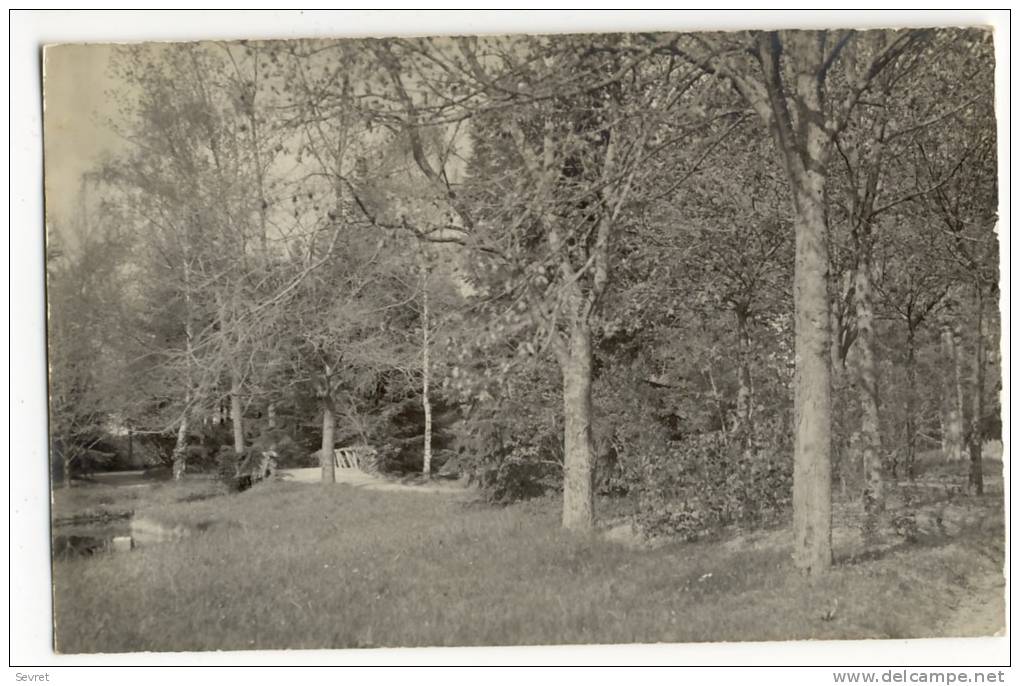 LA FRESNAYE Sur CHEDOUET  - Parc Guimier - Photo Servant. - La Fresnaye Sur Chédouet