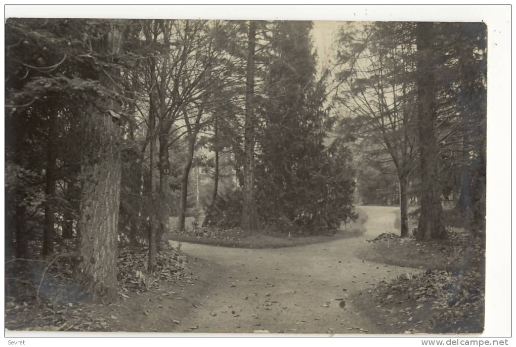 LA FRESNAYE Sur CHEDOUET  - Parc Guimier - Photo Servant. - La Fresnaye Sur Chédouet