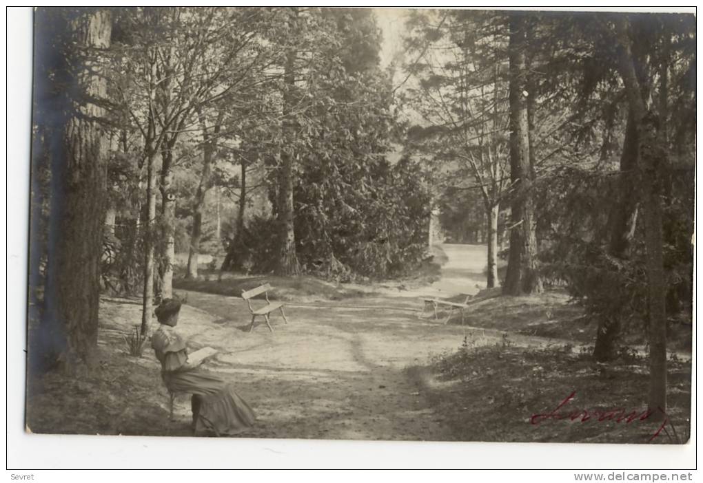 LA FRESNAYE Sur CHEDOUET  - Parc Guimier - Photo Servant. - La Fresnaye Sur Chédouet