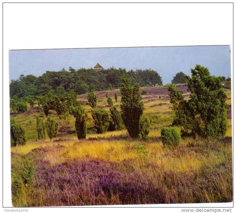B62582 Wilseder Berg Naturschutzgebiet Luneburger Heide Used Perfect Shape Back Scan At Request - Lüneburger Heide