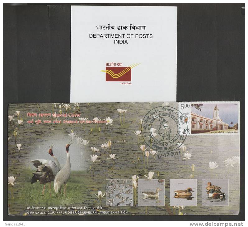 2011 CRANES  DUCKS  BIRDS  DUCK Cancellation Special Cover # 34832  India Indien Inde - Entenvögel