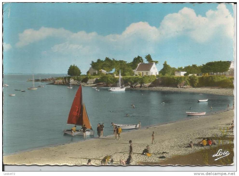 Cpsm, Damgan (Morbihan), La Pointe Et Plage De Kervoyal, Bien Animée - Damgan