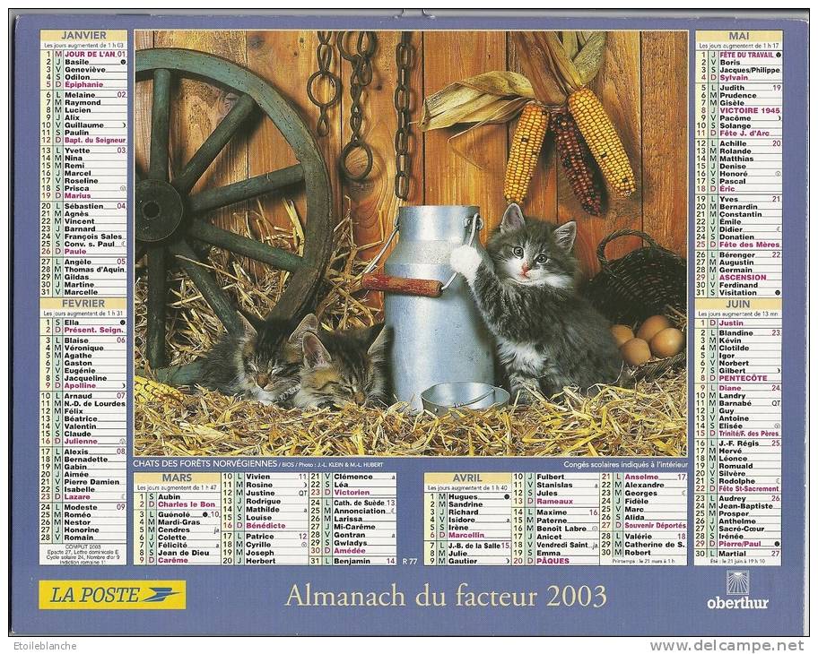 Photos, Chat, Paille, Bidon De Lait, Oeufs / Chaton, Printemps, Pommier En Fleurs / Calendrier La Poste 2003 Normandie - Groot Formaat: 2001-...