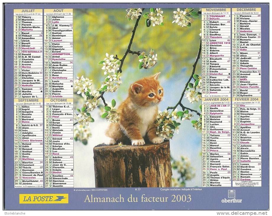 Photos, Chat, Paille, Bidon De Lait, Oeufs / Chaton, Printemps, Pommier En Fleurs / Calendrier La Poste 2003 Normandie - Groot Formaat: 2001-...