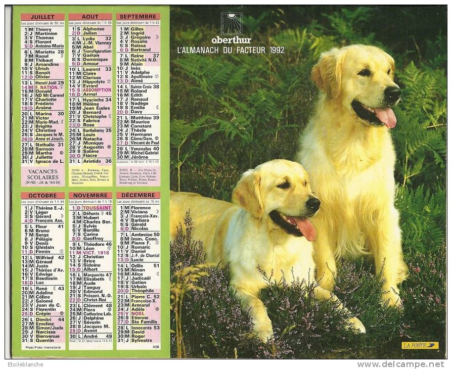 Calendrier La Poste 1992 / Photos De Chiens (golden Retriever, Berger Allemand) - Big : 1991-00