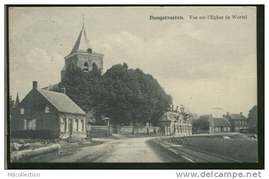 BELGIQUE HOOGSTRATEN / Vue Sur L´église De Wortel / - Hoogstraten