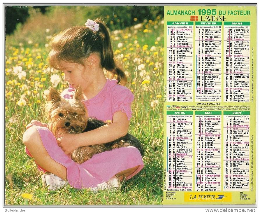 Calendrier La Poste 1995 / Photos, Petits Chiens, Caniche, Yorkshire Avec Petite Fille / Essonne - Grossformat : 1991-00