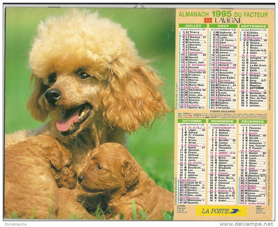 Calendrier La Poste 1995 / Photos, Petits Chiens, Caniche, Yorkshire Avec Petite Fille / Essonne - Grand Format : 1991-00
