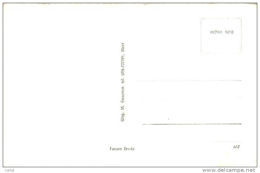 Groeten Uit MEER (uitg. M. Swaenen, Meer, 667) - Hoogstraten