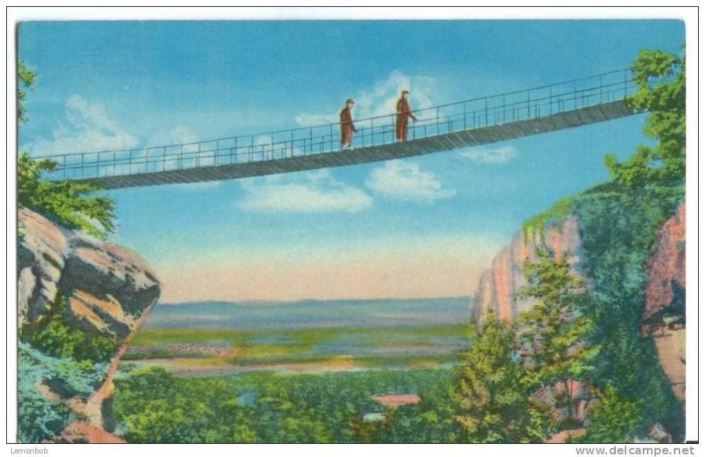 USA, Swing Along Bridge In Rock City Gardens, Atop Lookout Mountain, Unused Postcard [P8273] - Chattanooga