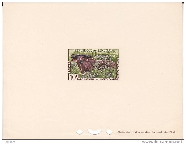 1960 Epreuve De Luxe Animaux Du Parc Du Niokolo-Koba   10F Buffle De Savane - Neufs