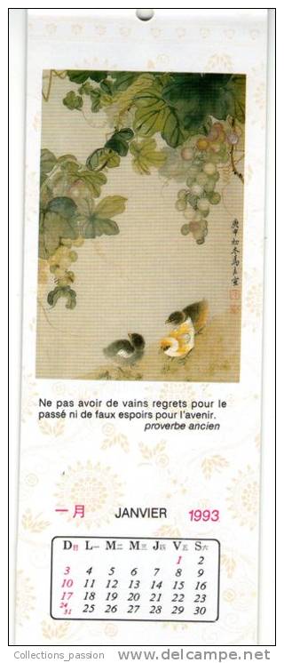 Calendrier , 13 Volets , Chine , 1993  , Illustrations , Dédicace , 3 Scans , Frais : F/1.95 , Cee/2.55 , Ponde/3.05€ - Petit Format : 1981-90