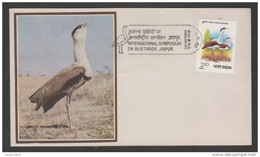India 1980  International Symposium On Bustards Jaipur  BANGALORE  FDC  # 34558  Indien Inde - Cranes And Other Gruiformes
