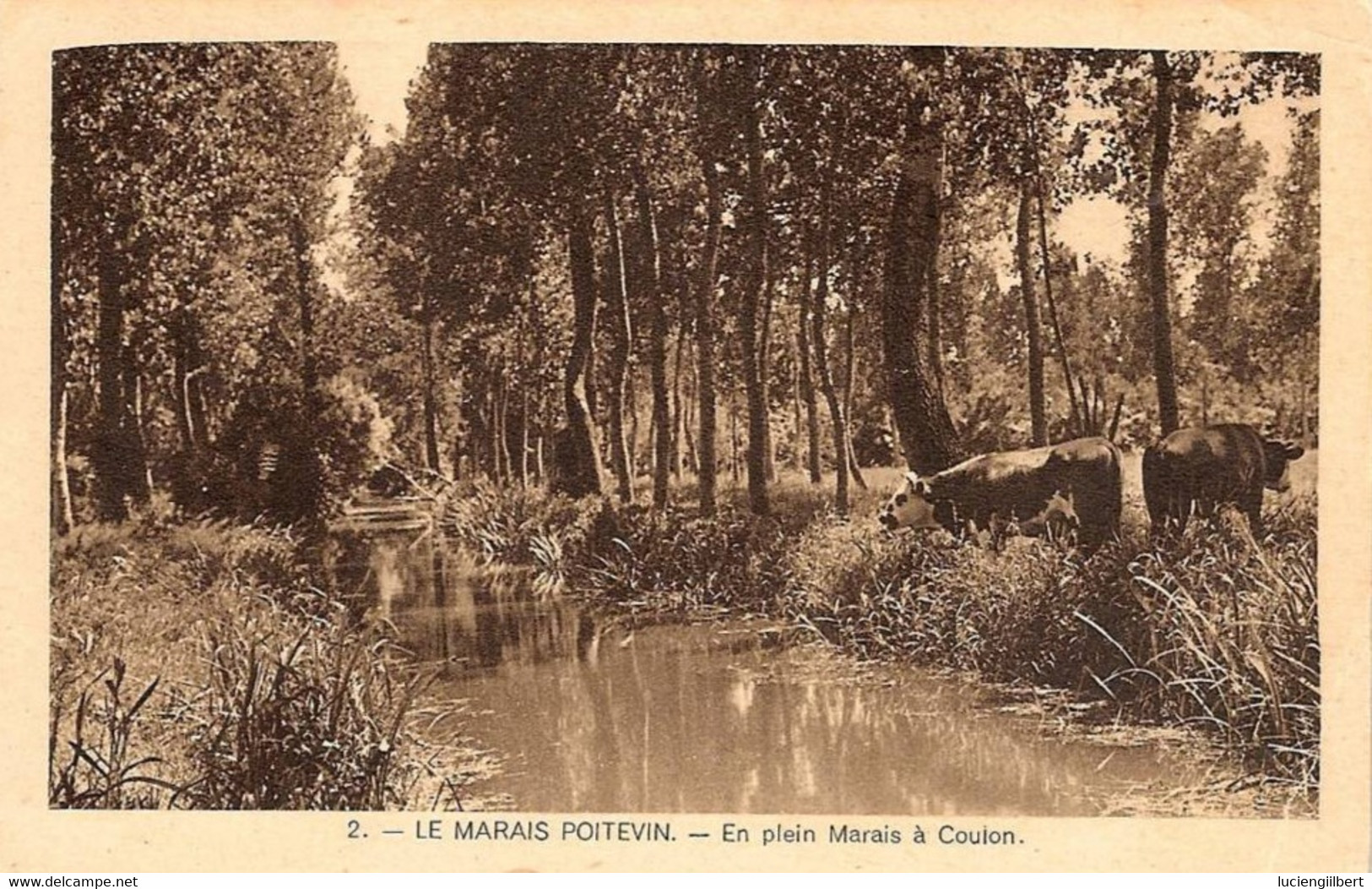 CPA  VIENNE  (86) -   LE MARAIS POITEVIN  --  En Plein Marais - Autres & Non Classés