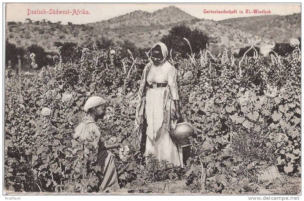 Deutsch Südwest Afrika Gartenlandschaft In Kl Windhuk Pflückerinnen Im Feld DSWA - Ehemalige Dt. Kolonien