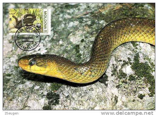 MOLDOVA 1993 MICHEL No: 53 Maximimcard - Snakes