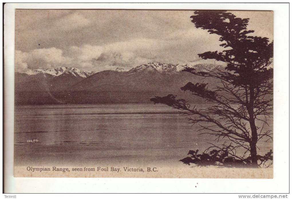 CPA De Colombie Britannique (BC Canada): Olympian Range, Seen From Foul Bay, Victoria - Victoria