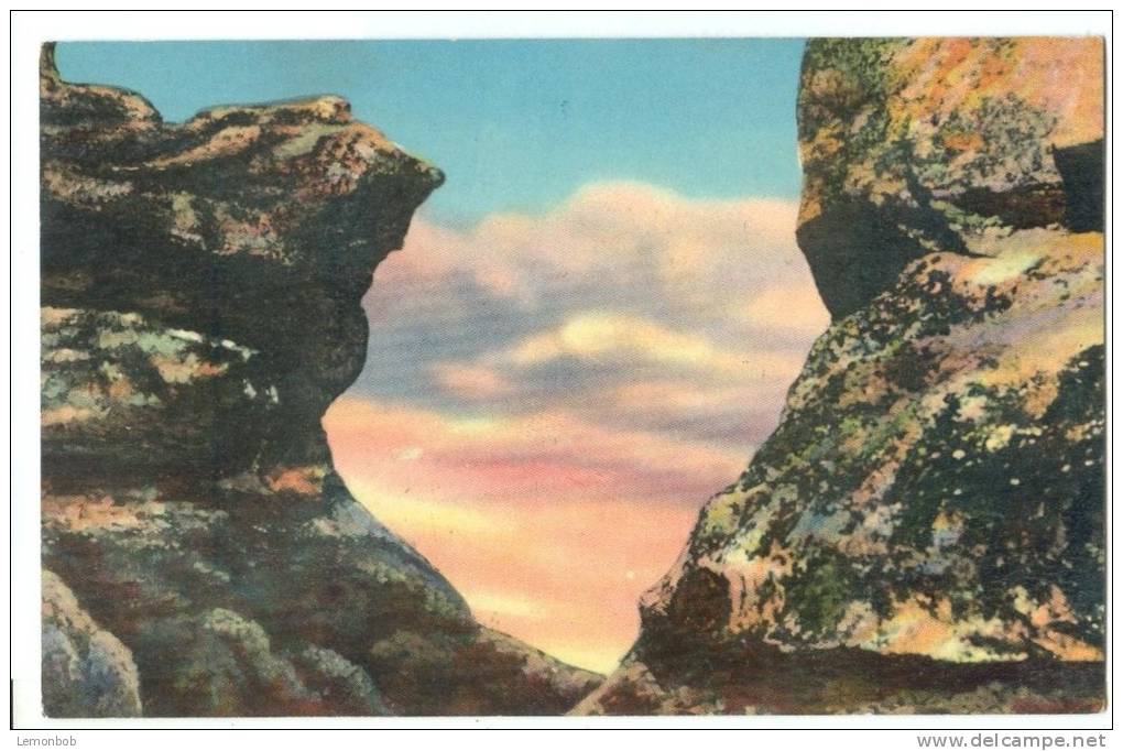 USA, Sentinel Rock, Rock City Gardens, Lookout Mountain, Unused Postcard [P8277] - Chattanooga