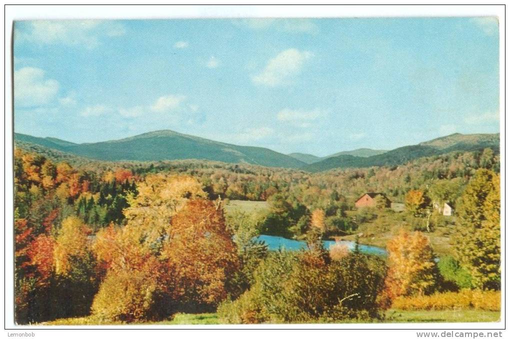 USA, Bright Autumn Colors At Shelburne, VT, Unused Postcard [P8279] - Other & Unclassified