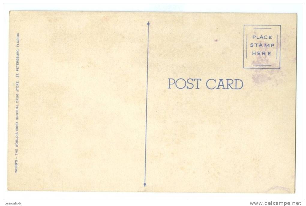 USA, Fountain Of Youth, St. Petersburg, Florida, Unused Linen Postcard [P8288] - St Petersburg