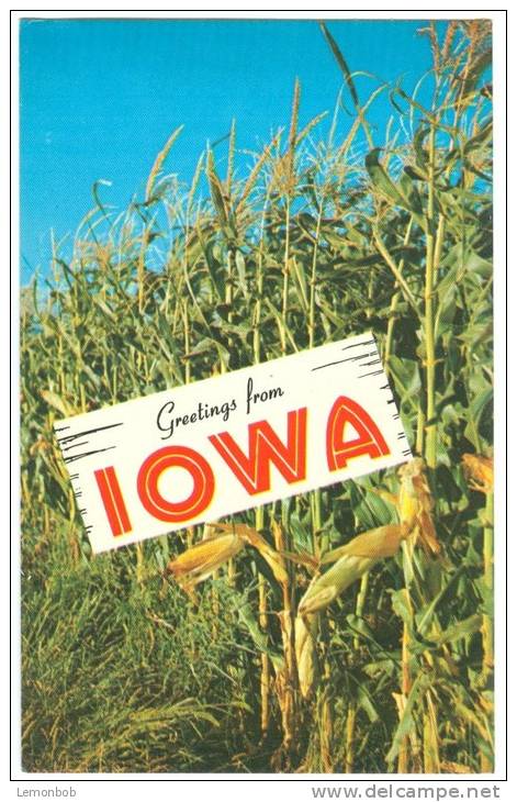 USA, Iowa, The Tall Corn State, Unused Postcard [P8291] - Other & Unclassified