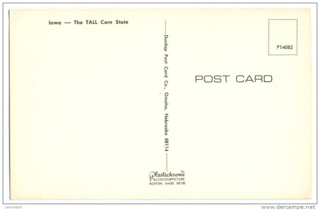 USA, Iowa, The Tall Corn State, Unused Postcard [P8291] - Andere & Zonder Classificatie