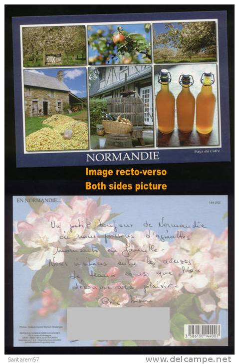 Carte Postale Postcard NORMANDIE Pays Du Cidre écrite FRANCE - Other