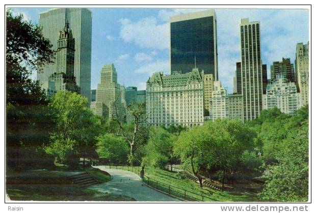 Etats Unis New York City Fifth Avenue Skyline Central Park Hôtels Office Buildingsin The Area CPSM BE - Central Park