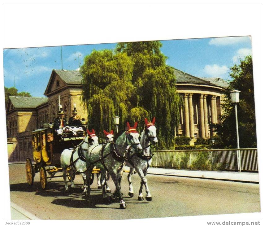 B63078 Bad Kissingen Horses Chevaux Used Good Shape Back Scan At Request - Bad Kissingen