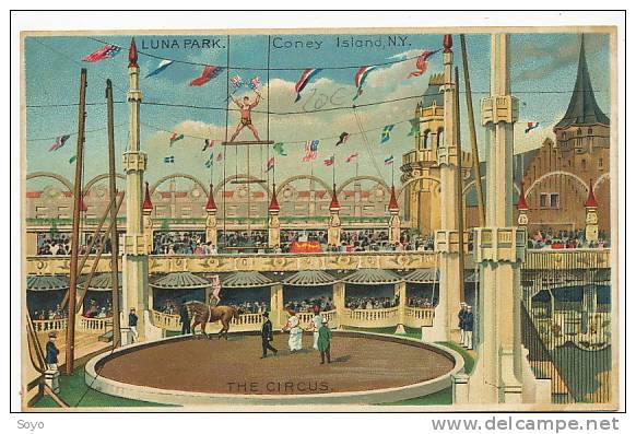 Luna Park Coney Island New York The Circus  Color 1602 J. Koehler - Cirque