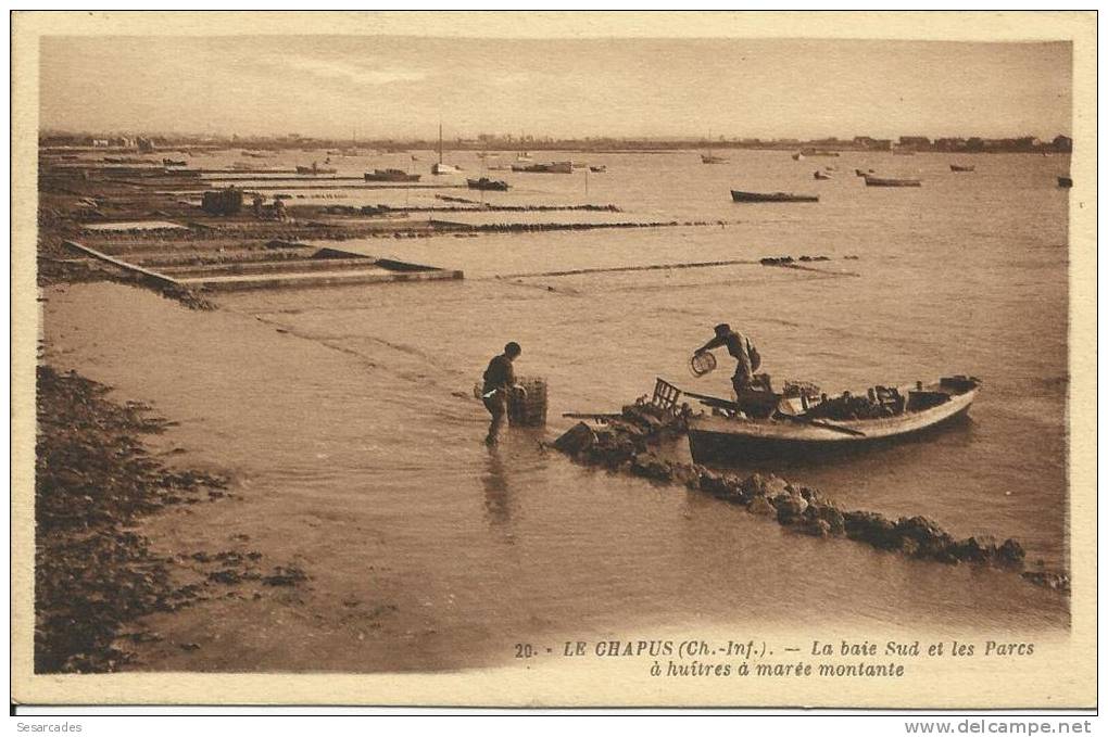 LE CHAPUS, LA BAIE SUD ET LES PARCS À HUITRES À MARÉE MONTANTE. G. ARTAUD EDIT. - Otros & Sin Clasificación