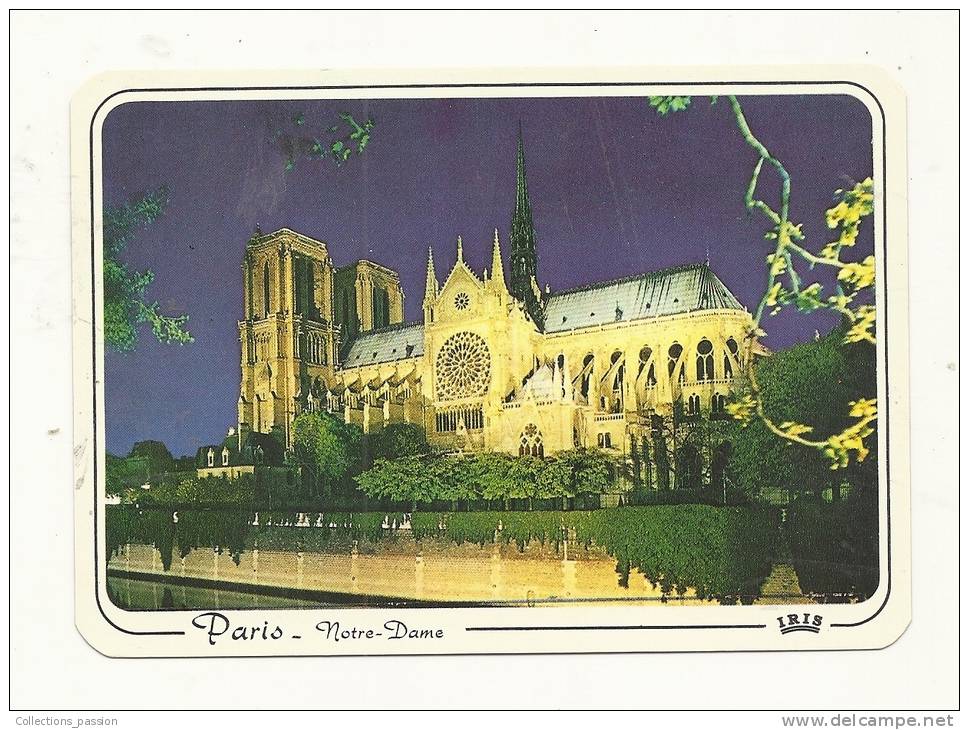 Cp, 75, Paris, Notre-Dame Illulminée, Voyagée 1994 - Notre Dame De Paris