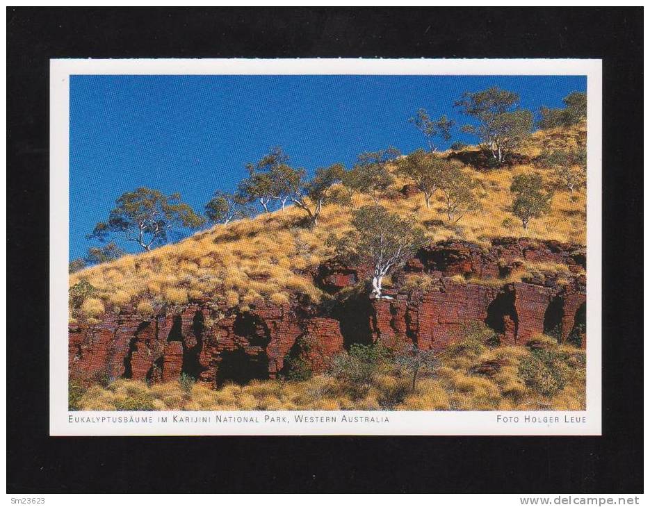 Australien  (08)  Eucalyptus Trees In The Karijini National Park - Neu / Ungelaufen - - Otros & Sin Clasificación