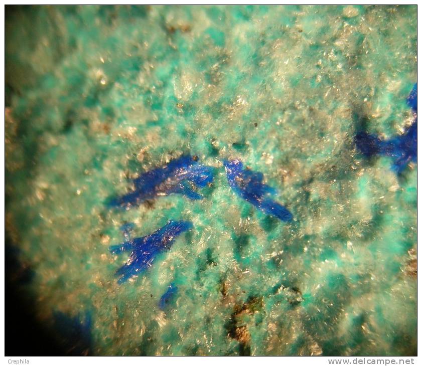 LINARITE - SERPIERITE - Plombières - Belgique  . --  MICRO - Minéraux