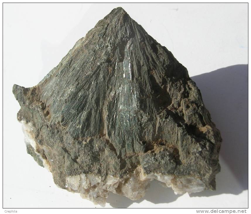 HEDENBERGITE - Massa Maritima - Italie  --  T - Minéraux