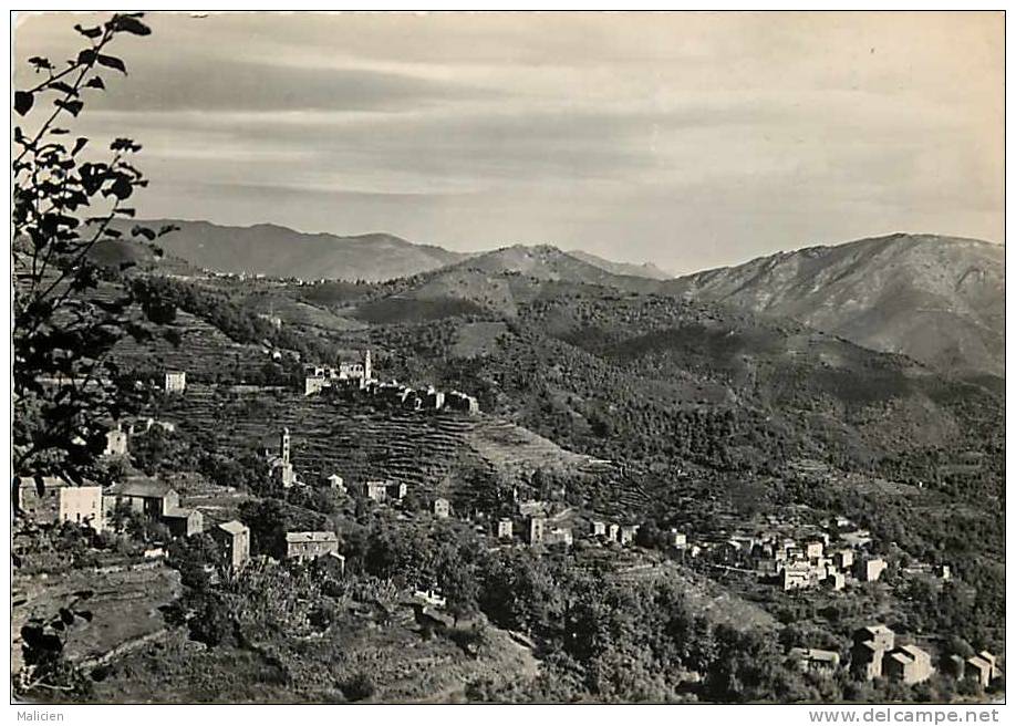 Corse - Ref B102- Orezza Les Eaux   -carte Bon Etat   - - Autres & Non Classés