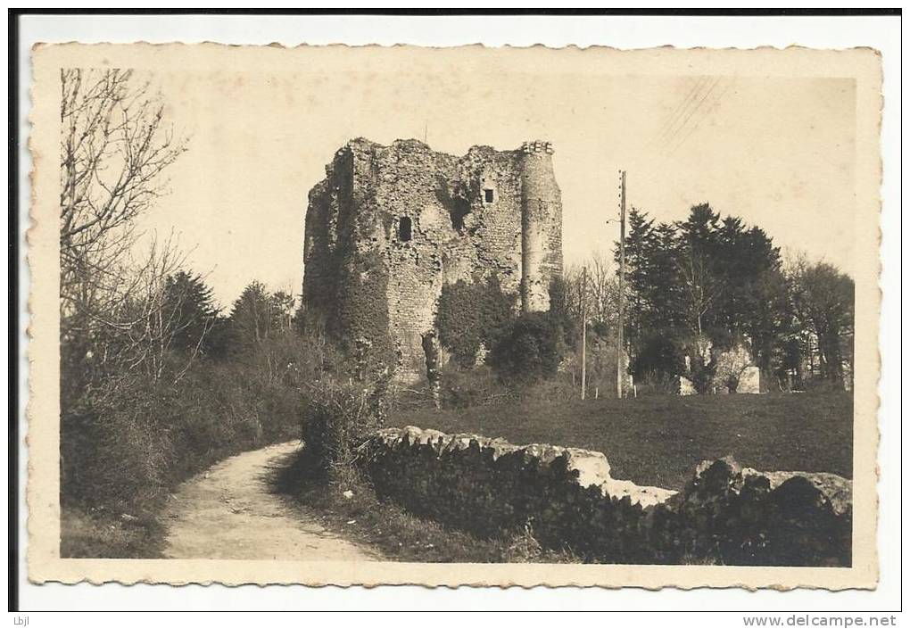 POUZAUGES , Ruines Du Château Féodal De Gilles De Retz , Dit Barbe-Bleue ( 13e S. ) - Pouzauges