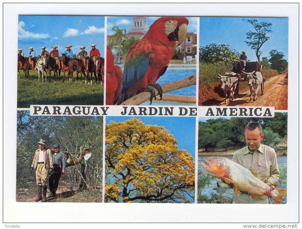 PARAGUAY JARDIN DE AMERICA - Paraguay
