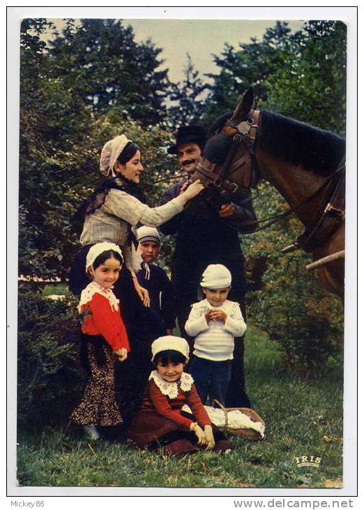 Poitou-La MOTHE ST HERAY--Costumes Et Bonnets De La Célèbre Mothaise Appelée "Arlésienne De L´Ouest"-très Animée-cheval- - Costumes