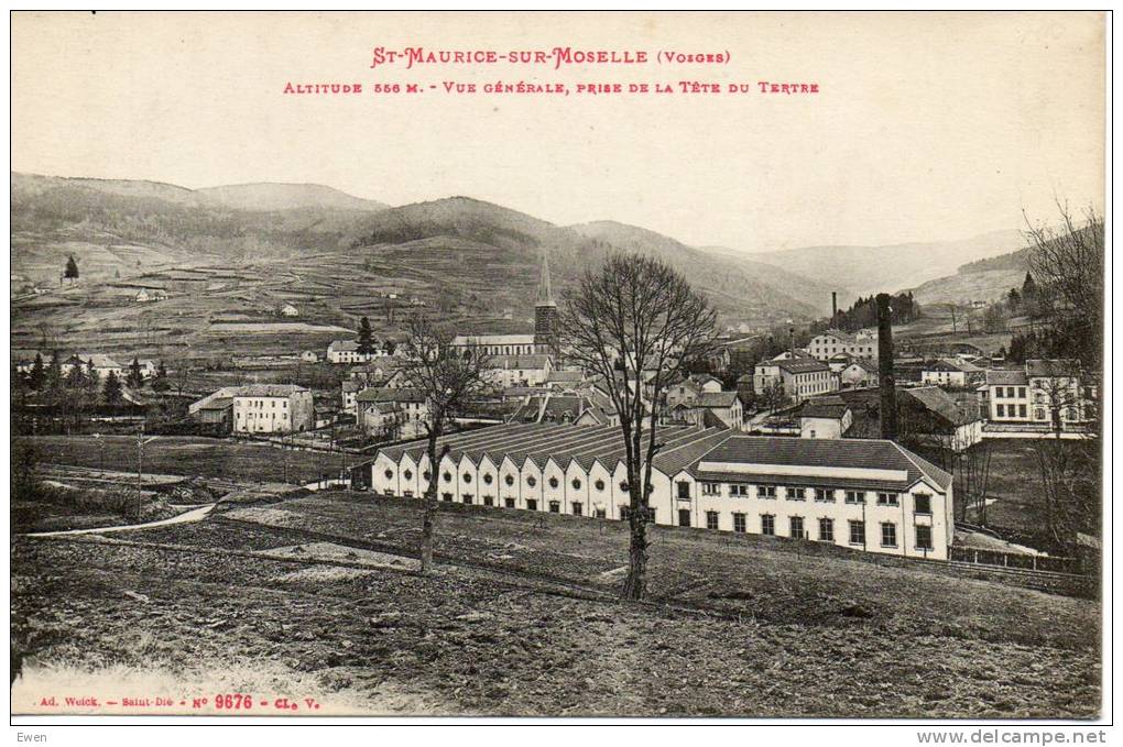 Saint-Maurice-sur-Moselle. Vue Générale Prise De La Tête Du Tertre. - Other & Unclassified