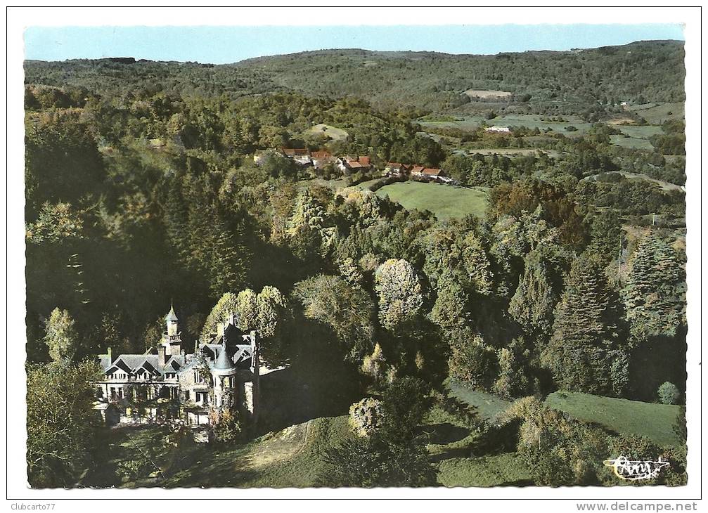 Ambazac (87) : Vue Aérienne Au Niveau Du Château En 1950. - Ambazac