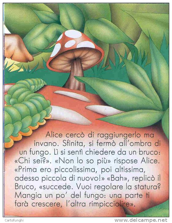 ALICE NEL  PAESE DELLE MERAVIGLIE  – WONDERLAND  FUNGHI CHAMPIGNONS  PILZ  SETAS - Teenagers & Kids