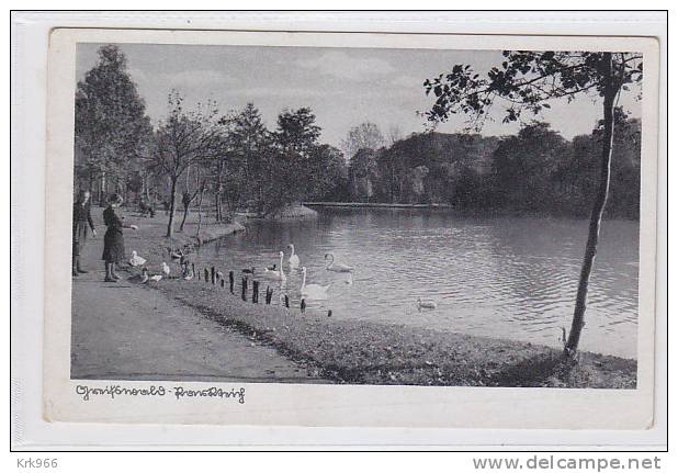 GERMANY GREIFSWALD Nice Postcard - Greifswald