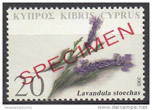 Specimen, Cyprus Sc991 Medicinal Plant, Lavandula Stoechas - Plantes Médicinales
