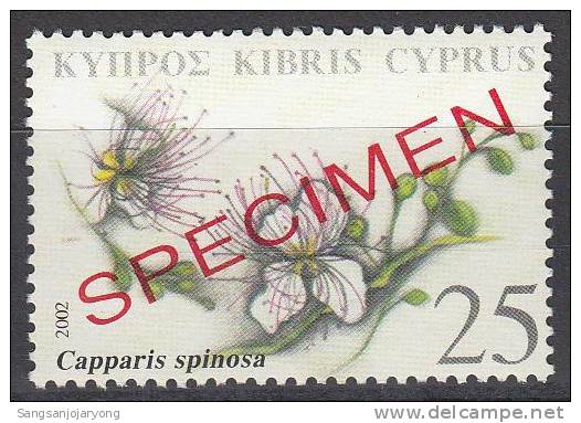 Specimen, Cyprus Sc992 Medicinal Plant, Capparis Spinosa - Geneeskrachtige Planten