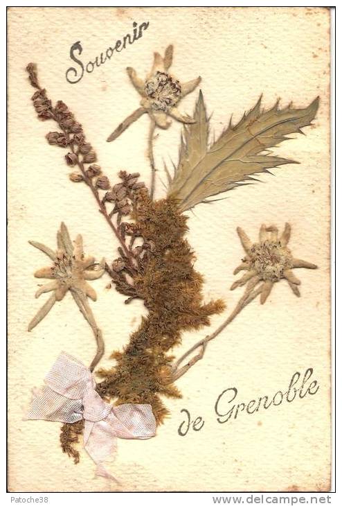 Fantaisie  - Carte Avec Edelweiss Collés - Souvenir De Grenoble - Fleurs - Other & Unclassified