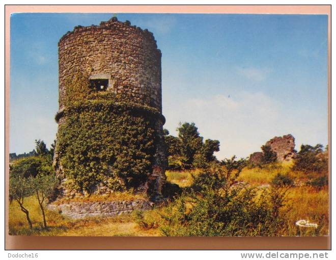 SALERNES - Ruines Du Vieux Château - Salernes